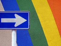 The End Game for Rainbow Activists